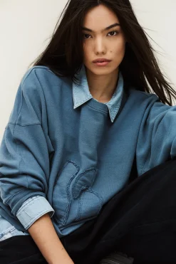 MAIA<